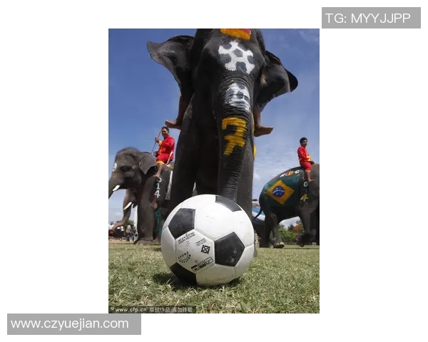 足球明星AG2的传奇之路与未来展望:从绿茵场到全球舞台的辉煌旅程 足球明星AG2的传奇之路与未来展望:从绿茵场到全球舞台的辉煌旅程