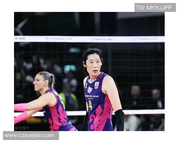 重庆排球队实力强劲荣登全国排球力量排行榜第四名