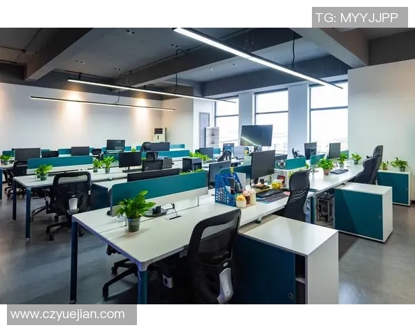 重庆羽毛球队运营创新之路:探索新模式与发展策略的深度分析 重庆羽毛球队运营创新之路:探索新模式与发展策略的深度分析