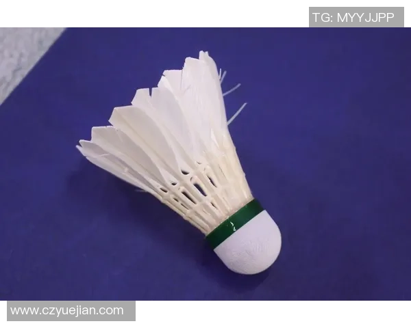 羽毛球热点：解读上海羽毛球队的包夹