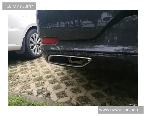 聚焦攀岩：武汉攀岩队的团队协作话题_1